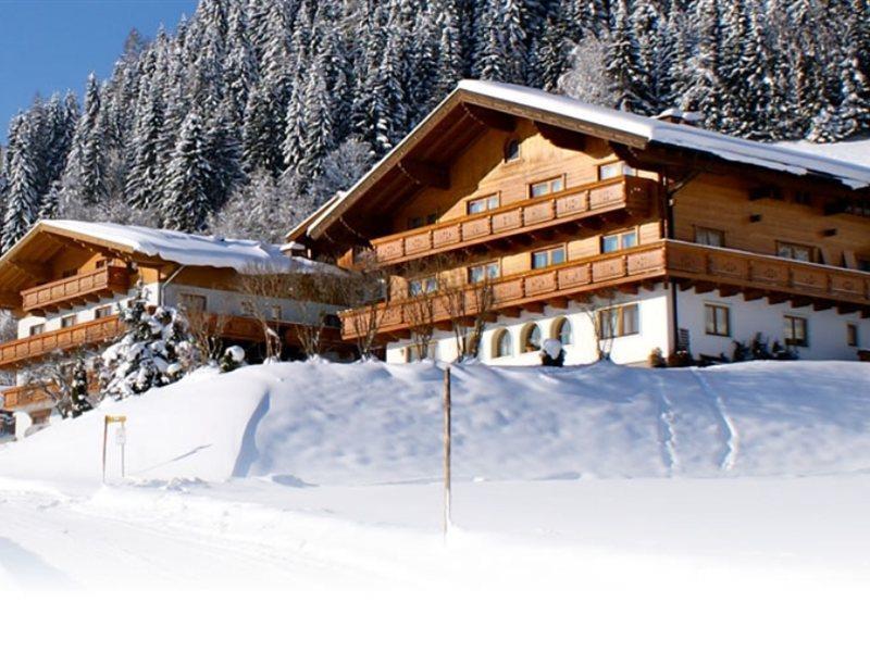 Ferienhaus And Reiterhof Poettler Flachau Exteriör bild
